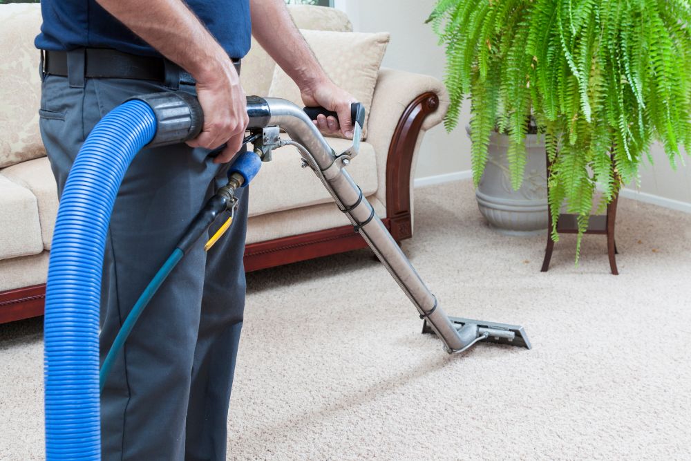 A man uses a vacuum on a carpet, highlighting a carpet cleaning service located in Springfield, IL.