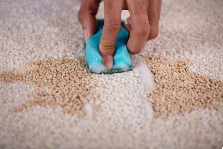 A person using a sponge to clean a carpet, focusing on a stained area with a determined expression.